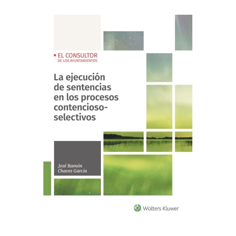 La ejecución de sentencias en los procesos contencioso-selectivos
