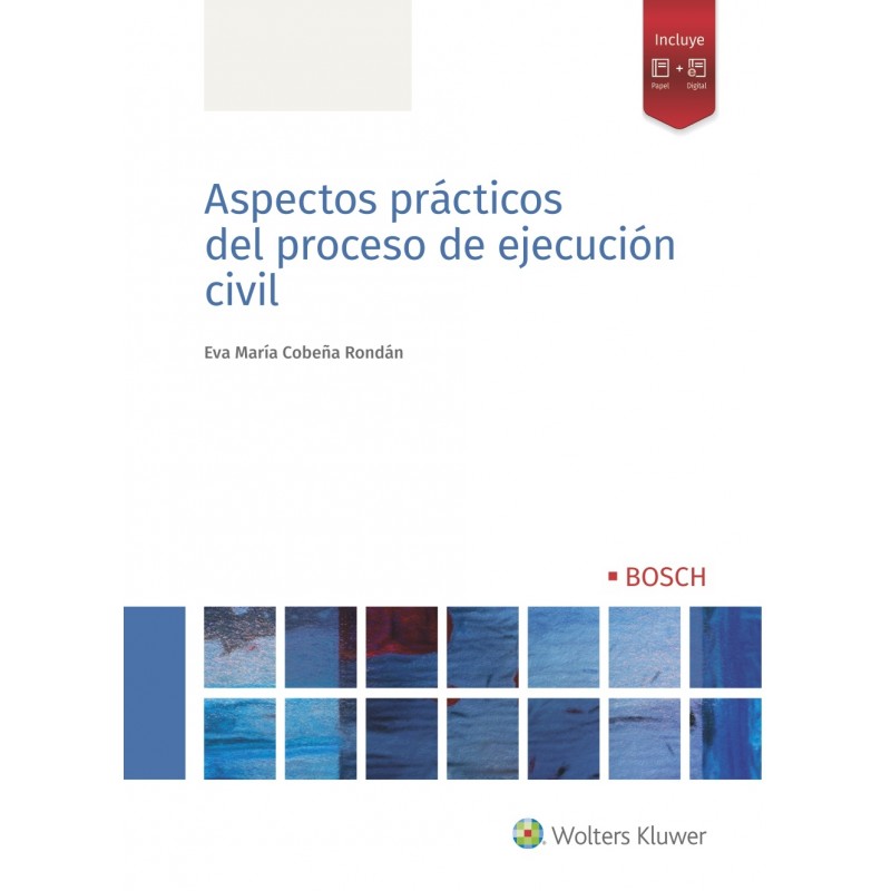 Aspectos prácticos del proceso de ejecución civil