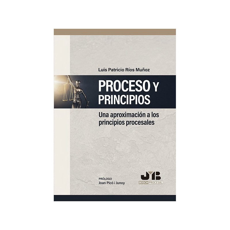 Proceso y Principios