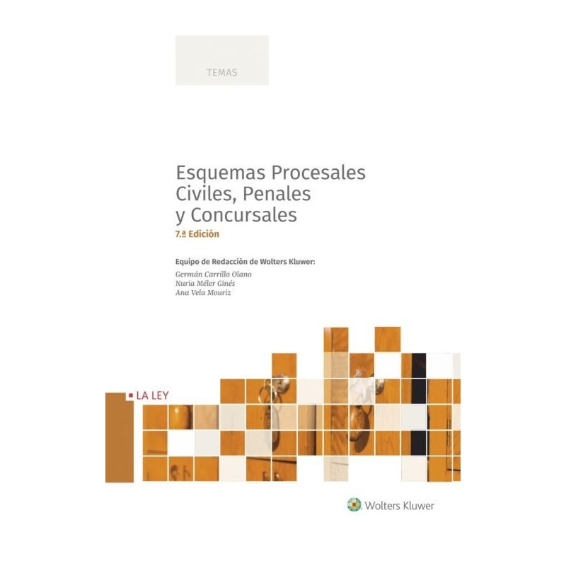 Esquemas procesales civiles, penales y concursales