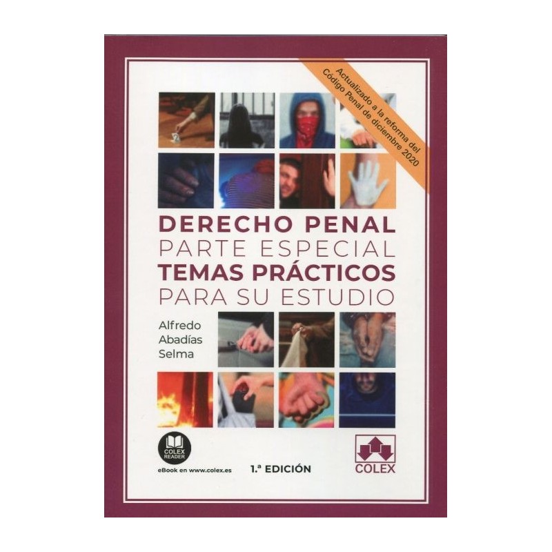 Derecho penal parte especial. Temas prácticos para su estudio