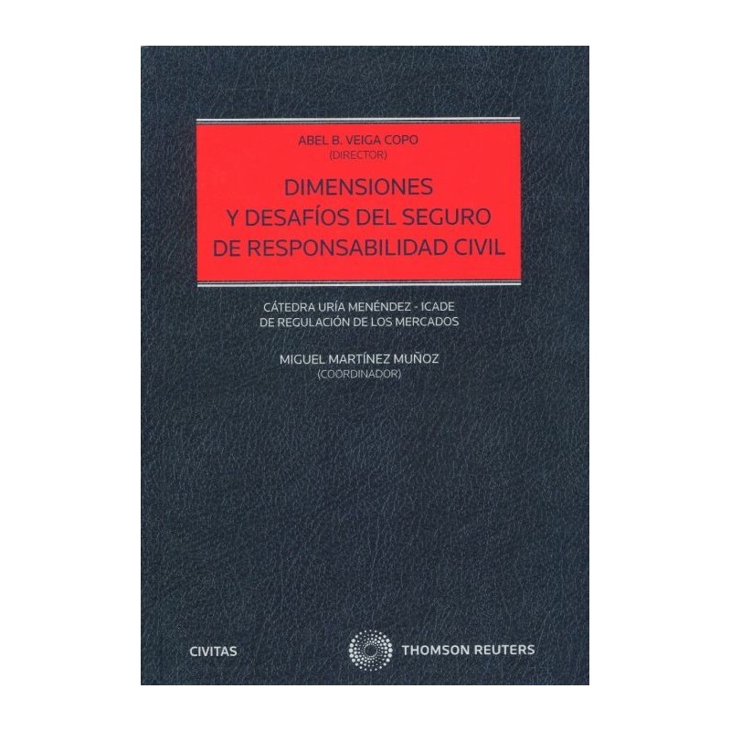 Dimensiones y desafíos del seguro de responsabilidad civil