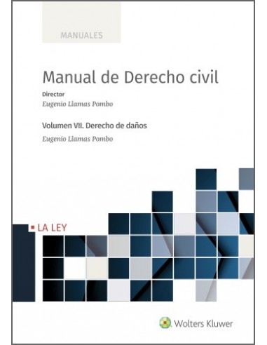 Manual de Derecho Civil. Volumen VII