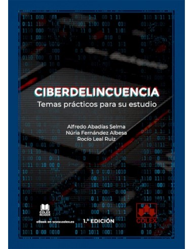 Ciberdelincuencia: temas prácticos para su estudio