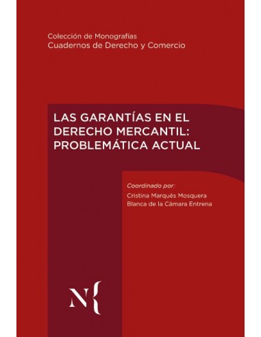 Las Garantías en el Derecho Mercantil: problemática actual