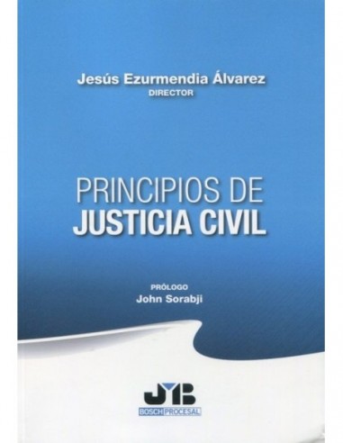 Principios de justicia civil