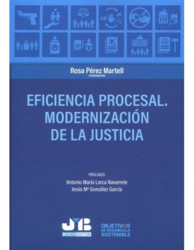 Eficiencia procesal. Modernización de la justicia