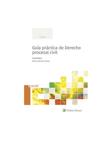 Guía práctica de Derecho procesal civil