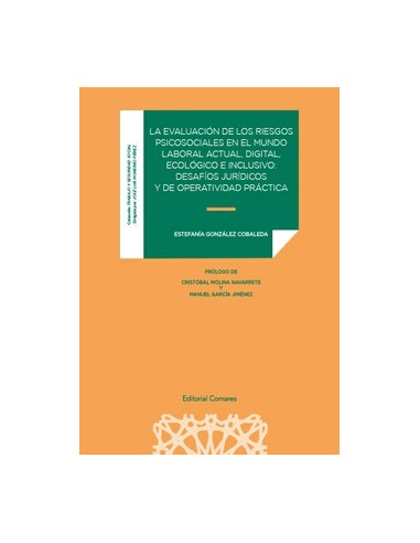 La evaluación de los riesgos psicosociales en el mundo laboral actual, digital, ecológico e inclusivo