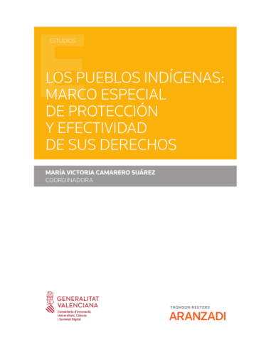 Los pueblos indígenas: marco especial de protección y efectividad de sus derechos