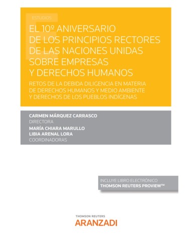 El 10º Aniversario de los Principios Rectores de las Naciones Unidas sobre empresas y derechos humanos