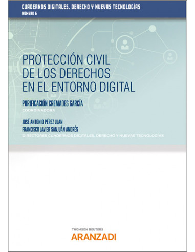 Protección civil de los derechos en el entorno digital