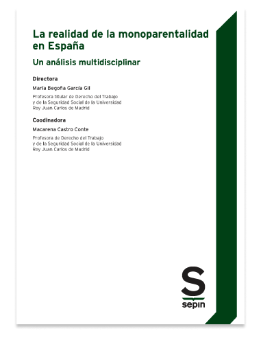 La realidad de la monoparentalidad en España