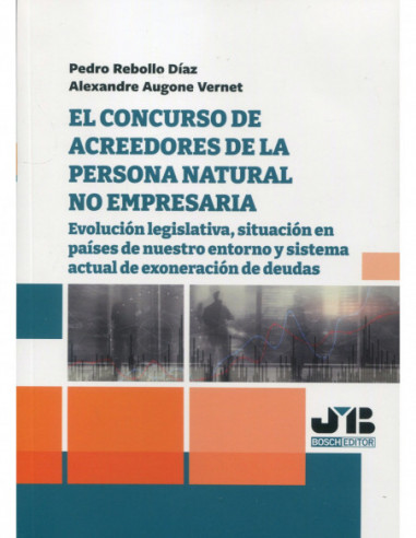 El concurso de acreedores de la persona natural no empresaria