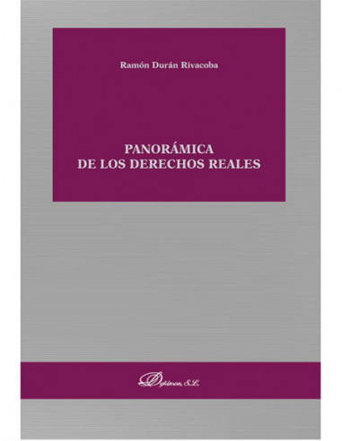 Panorámica de los derechos reales