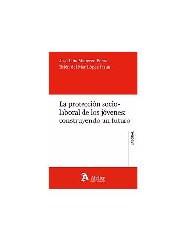 Protección socio-laboral de los jóvenes: construyendo un futuro