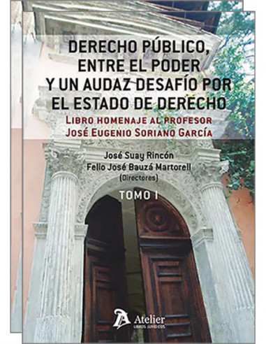 Derecho público, entre el poder y un audaz desafío por el estado de derecho