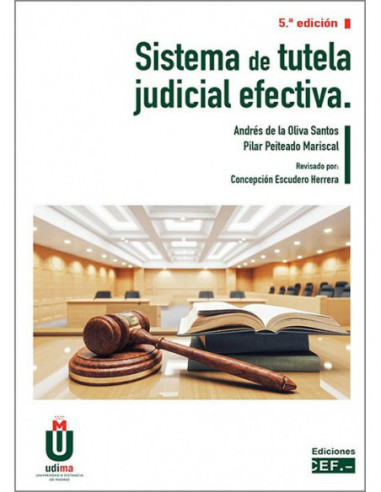 Sistema de tutela judicial efectiva