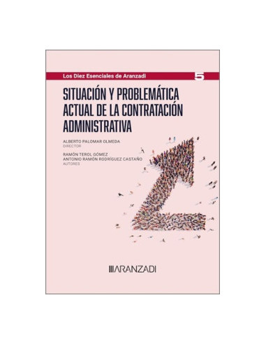 Situación y problemática actual de la contratación administrativa