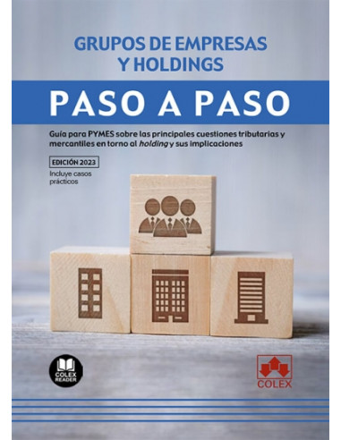 Grupos de empresas y holdings. Paso a paso