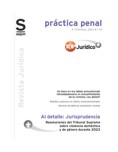Resoluciones del Tribunal Supremo sobre violencia doméstica y de género durante 2023