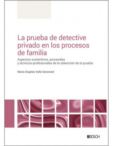 La prueba de detective privado en los procesos de familia