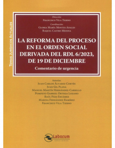 La reforma del proceso en el Orden Social derivada del RDL 6/2023, de 19 de diciembre