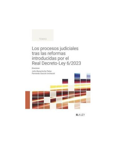 Los procesos judiciales tras las reformas introducidas por el Real Decreto-Ley 6/2023