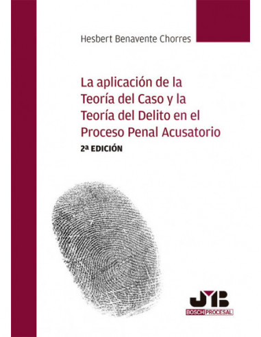 La aplicación de la teoría del caso y la teoría del delito en el proceso penal acusatorio