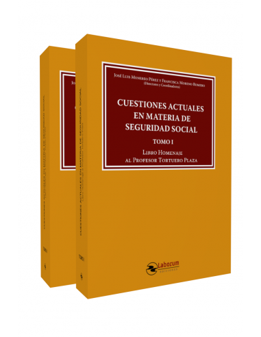 Cuestiones actuales en materia de Seguridad Social