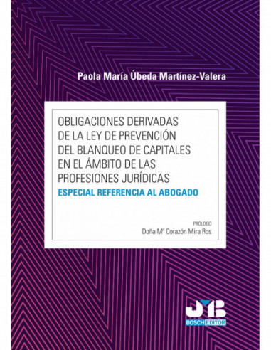 Obligaciones derivadas de la Ley de prevención del blanqueo de capitales en el ámbito de las profesiones jurídicas