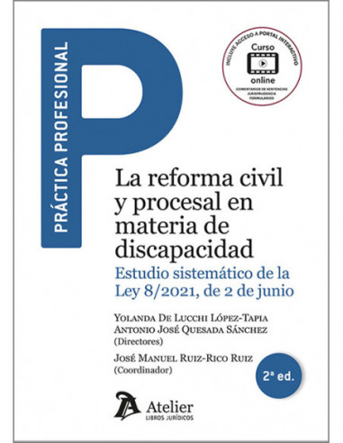 La reforma civil y procesal en materia de discapacidad