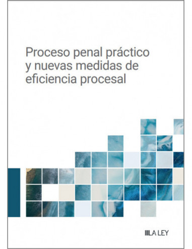 Proceso penal práctico y nuevas medidas de eficiencia procesal