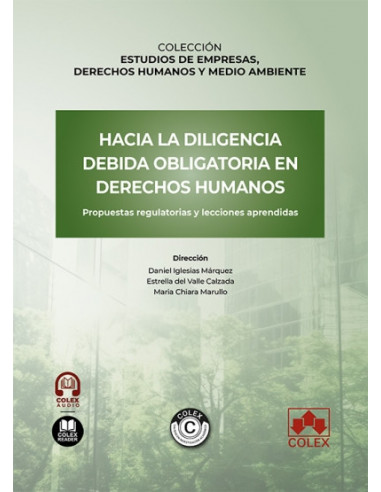 Hacia la diligencia debida obligatoria en derechos humanos: propuestas regulatorias y lecciones aprendidas