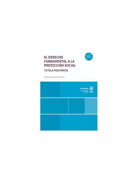 El derecho fundamental a la protección social. Tutela multinivel