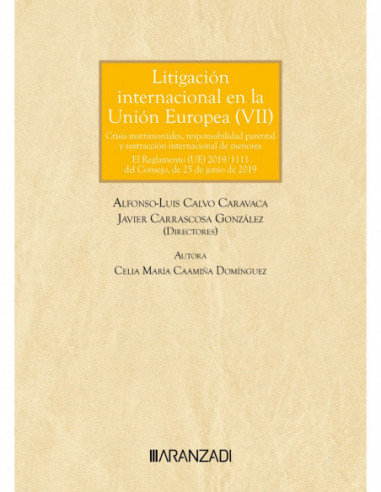 Litigación internacional en la Unión Europea (VII)
