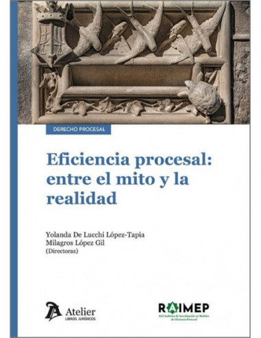 Eficiencia procesal: entre el mito y la realidad