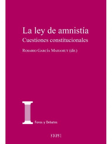 Ley de amnistía. Cuestiones constitucionales