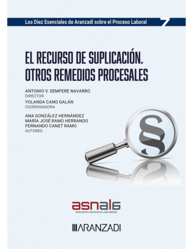 El recurso de suplicación. Otros remedios procesales