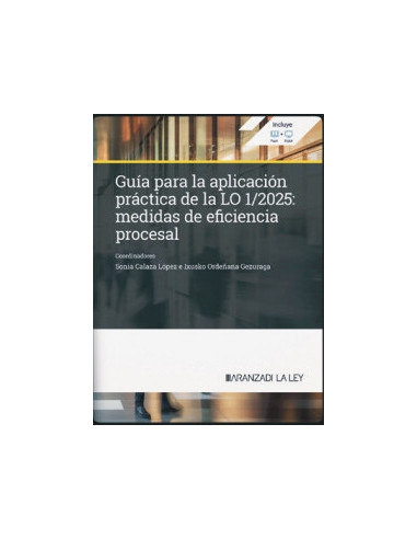 Guía para la aplicación práctica de la LO 1/2025: medidas de eficiencia procesal