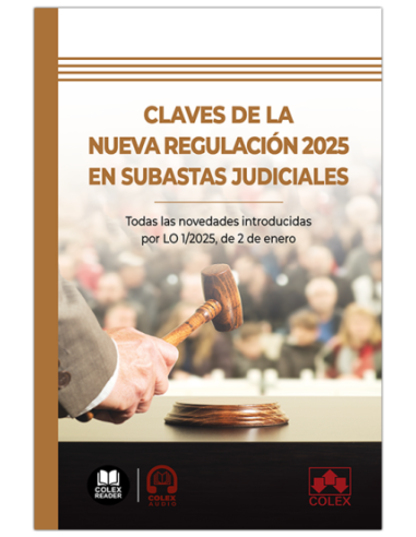 Claves de la nueva regulación 2025 en subastas judiciales