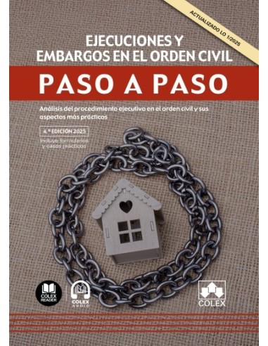 Ejecuciones y embargos en el orden civil. Paso a paso