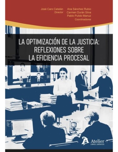 La optimización de la Justicia: reflexiones sobre la eficiencia procesal