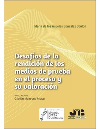 Desafíos de la rendición de los medios de prueba en el proceso y su valoración