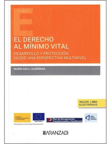 El derecho al mínimo vital: desarrollo y protección desde una perspectiva multinivel