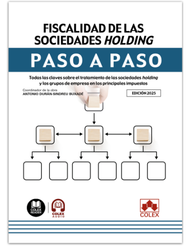Fiscalidad de las sociedades holding. Paso a paso