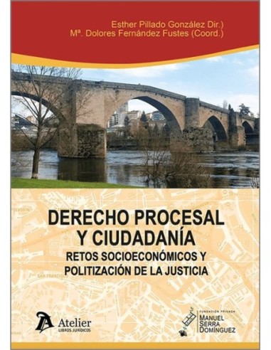 Derecho Procesal y ciudadanía: retos socioeconómicos y politización de la justicia