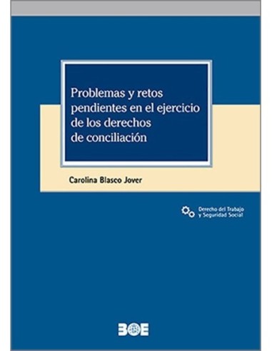 Problemas y retos pendientes en el ejercicio de los derechos de conciliación