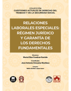 Relaciones laborales especiales: régimen jurídico y...