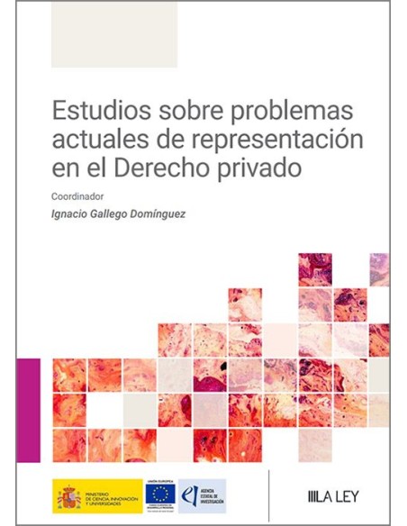 Estudios sobre problemas actuales de representación en el Derecho privado